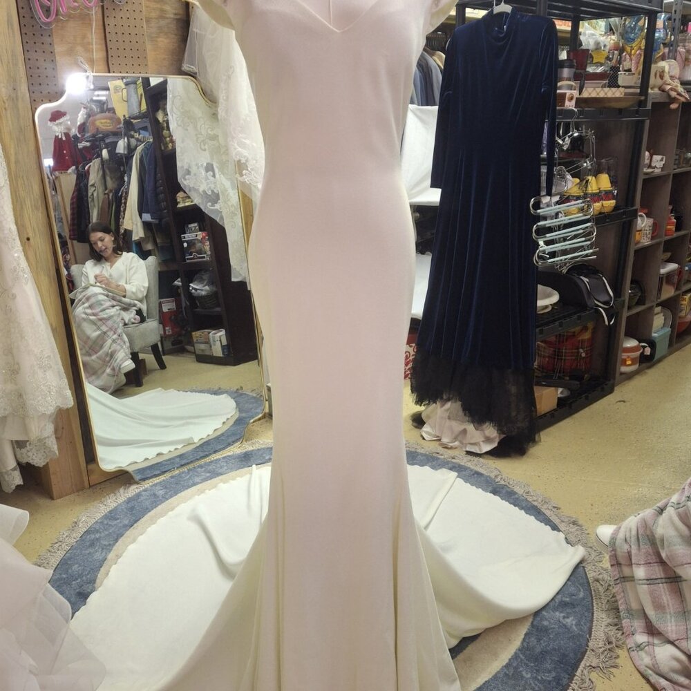 Atelier Pronovias "Irune" Wedding Gown (Unaltered) - Picture 2 of 12